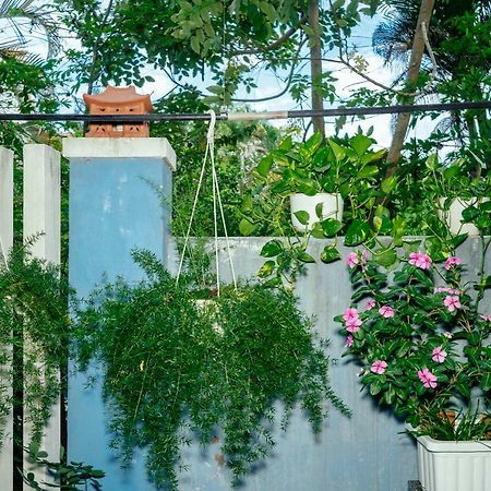 Green Bud Hostel And Homestay Hoi An Dış mekan fotoğraf