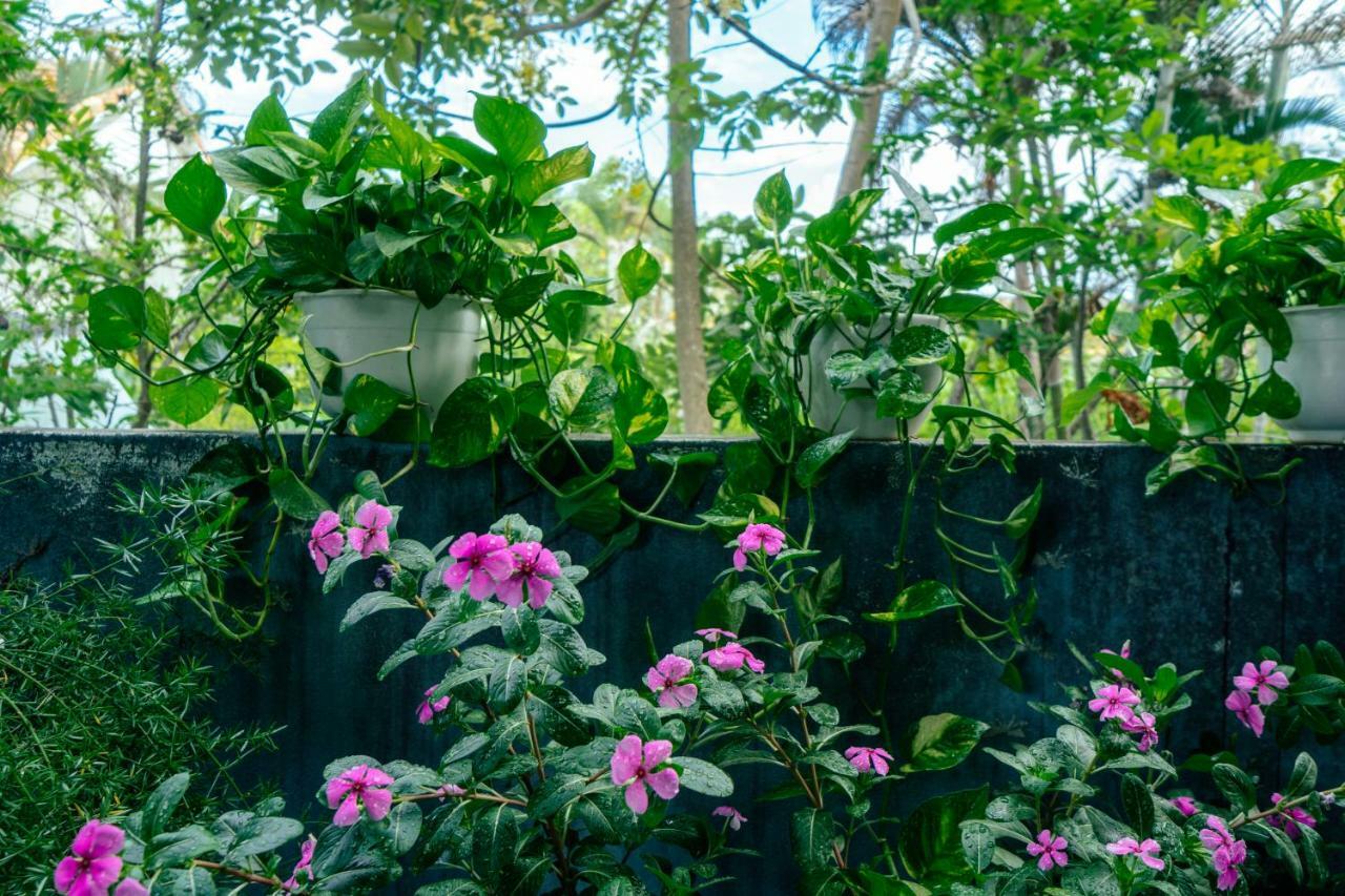 Green Bud Hostel And Homestay Hoi An Dış mekan fotoğraf